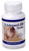 Chewable Tablets 60 ct Q9637