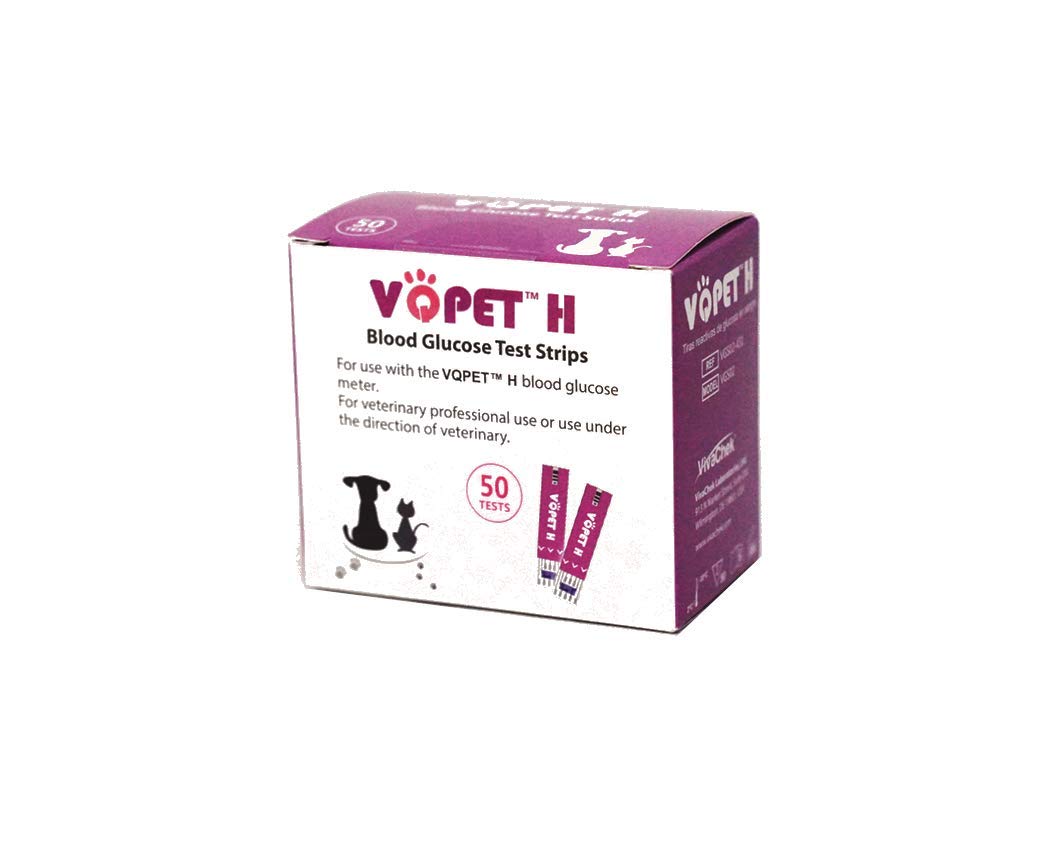 Blood Glucose Test Strips 50 Count J333125