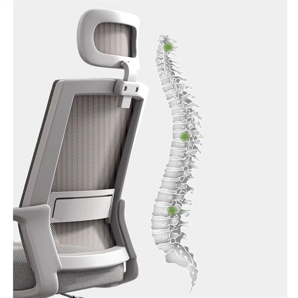 Ergonomic Mesh High Back Office Chair Z765