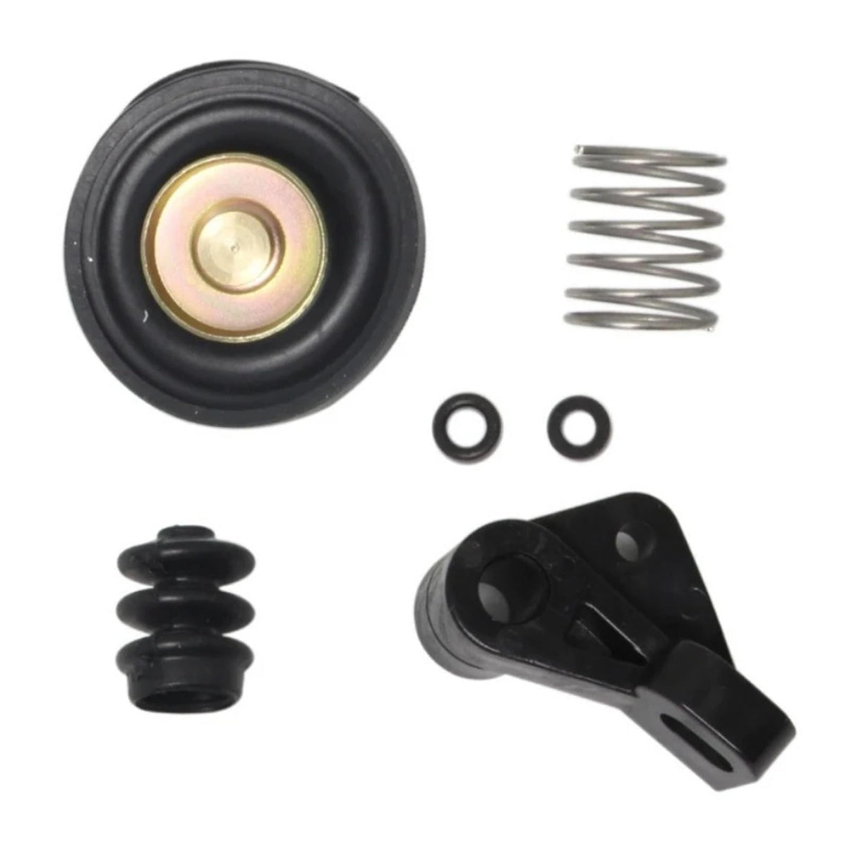 Carburetor Rebuild Kit G44075