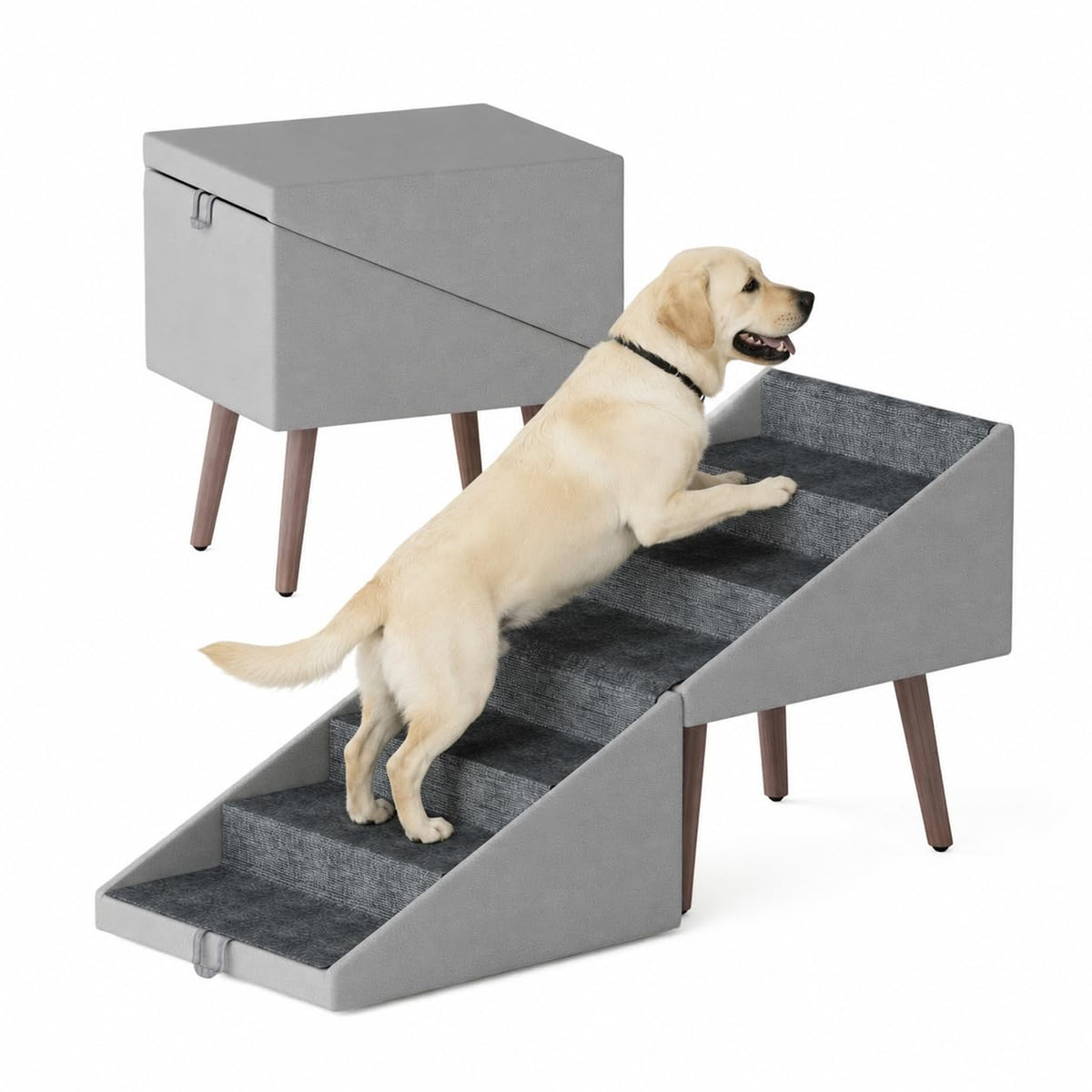 Ottoman Dog Stairs Z514169