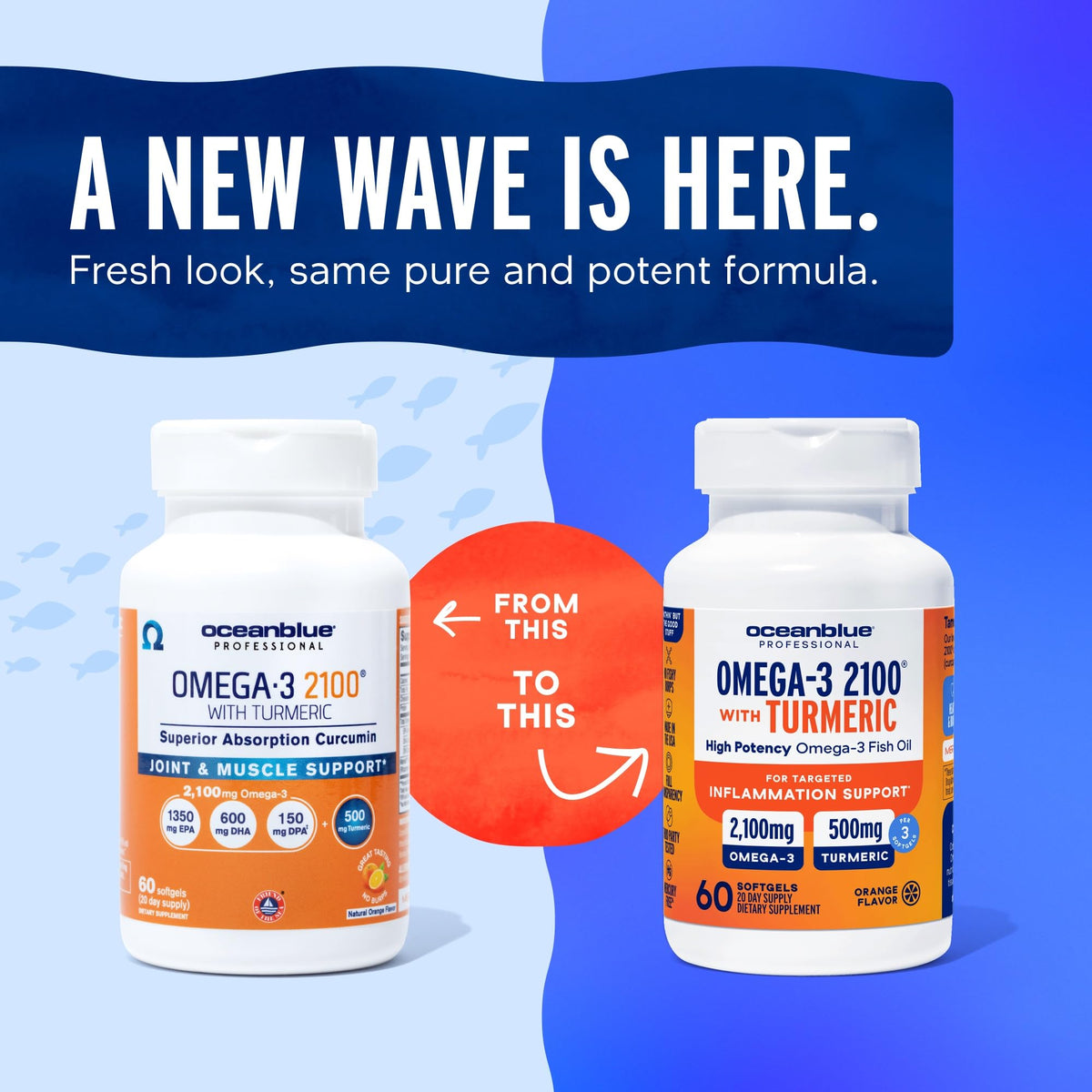 Omega-3 with Turmeric 60 Softgels I4537