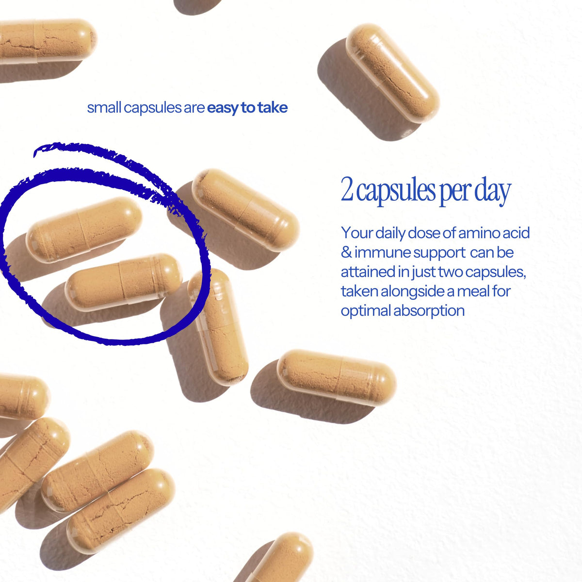 L-Lysine & Propolis with Quercetin, Vitamin C, Vitamin E & Zinc N394724
