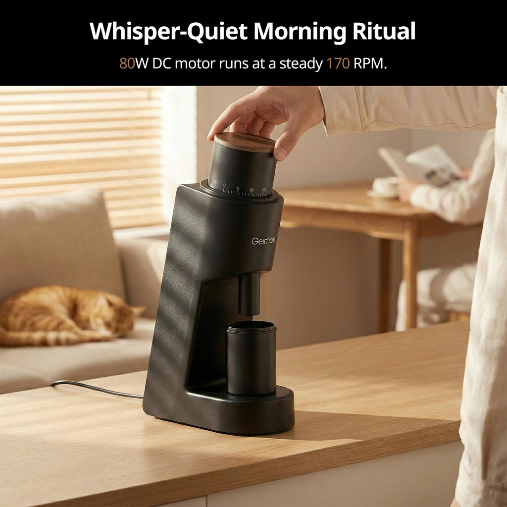 Coffee Grinder with Conical Burr L97661