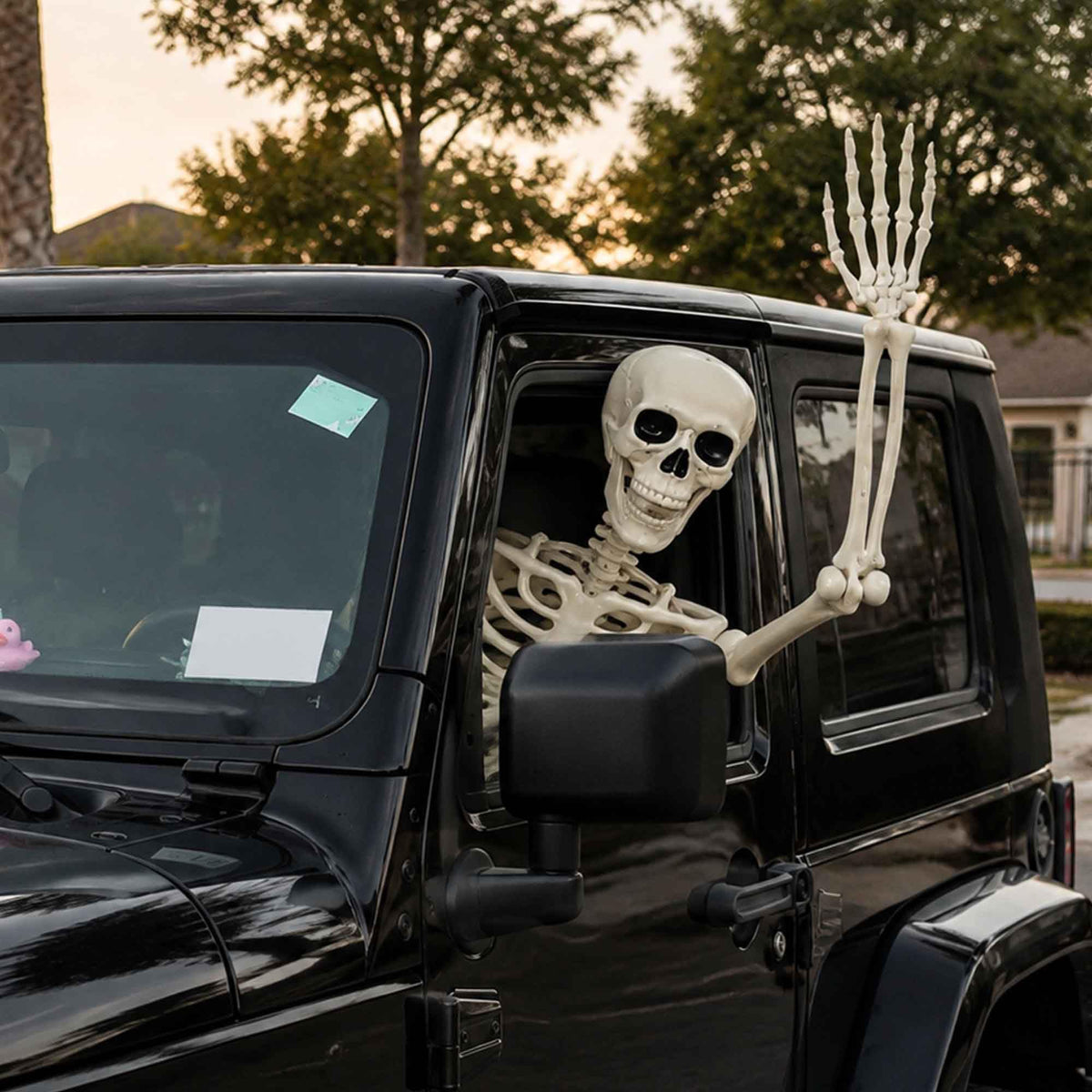 5.4ft Posable Life Size Skeleton with Movable Joints Y895593