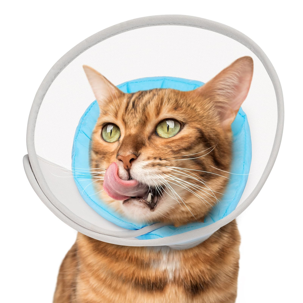 Soft Waterproof Mesh Cat Recovery Cone Collar R9929