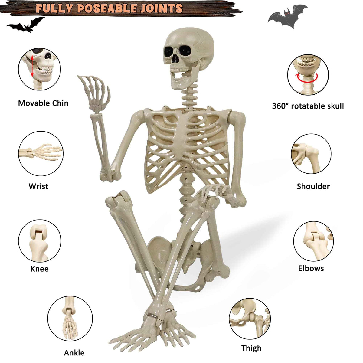 5.4ft Posable Life Size Skeleton with Movable Joints Y895593