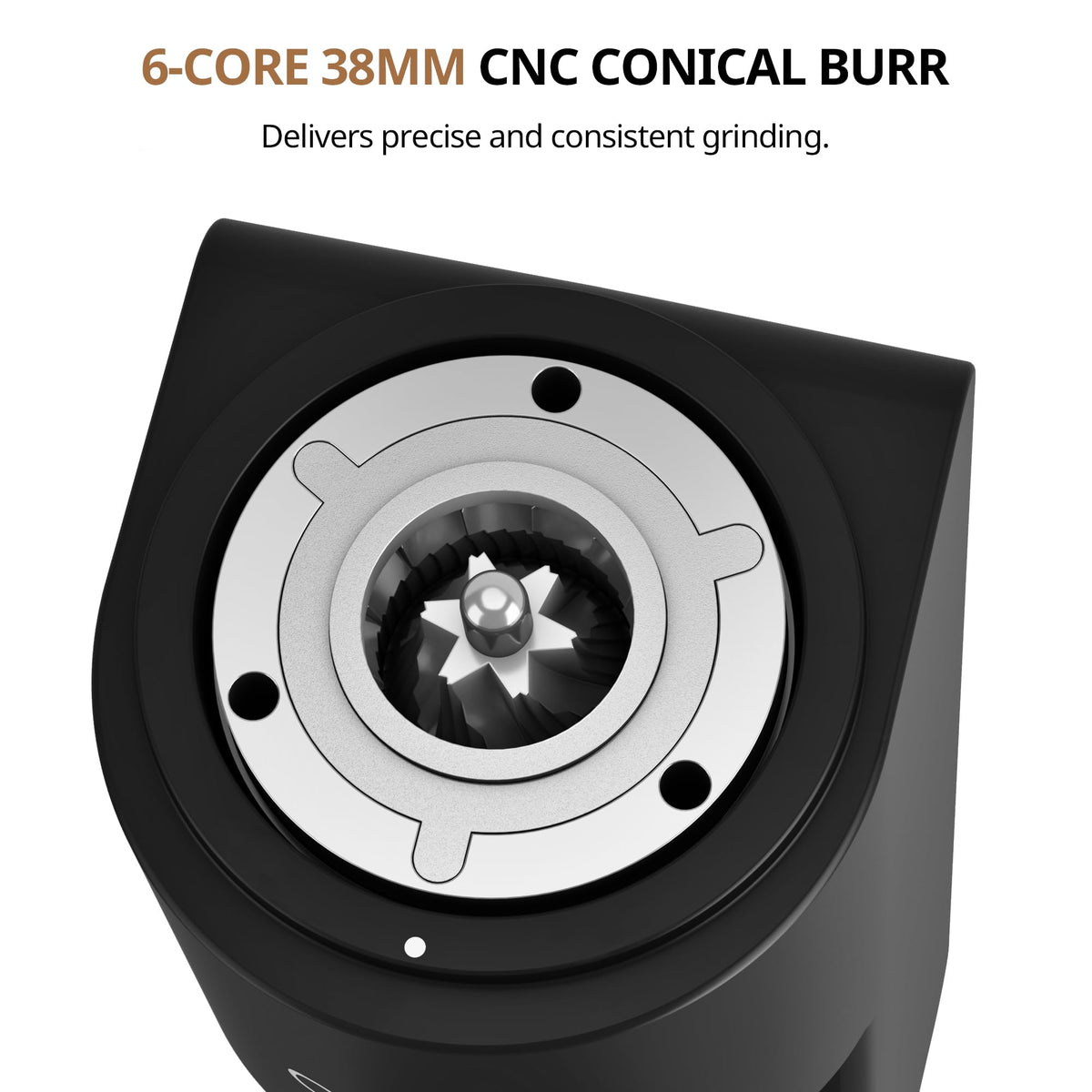 Coffee Grinder with Conical Burr L97661