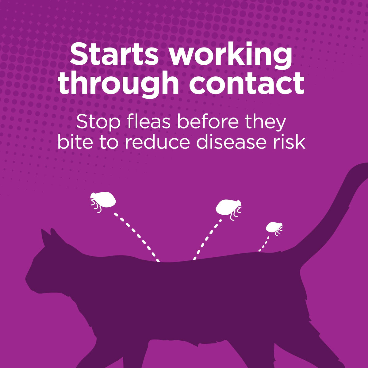 Flea Treatment for Small & Medium Cats 5-9 lbs, 6 Doses U8872
