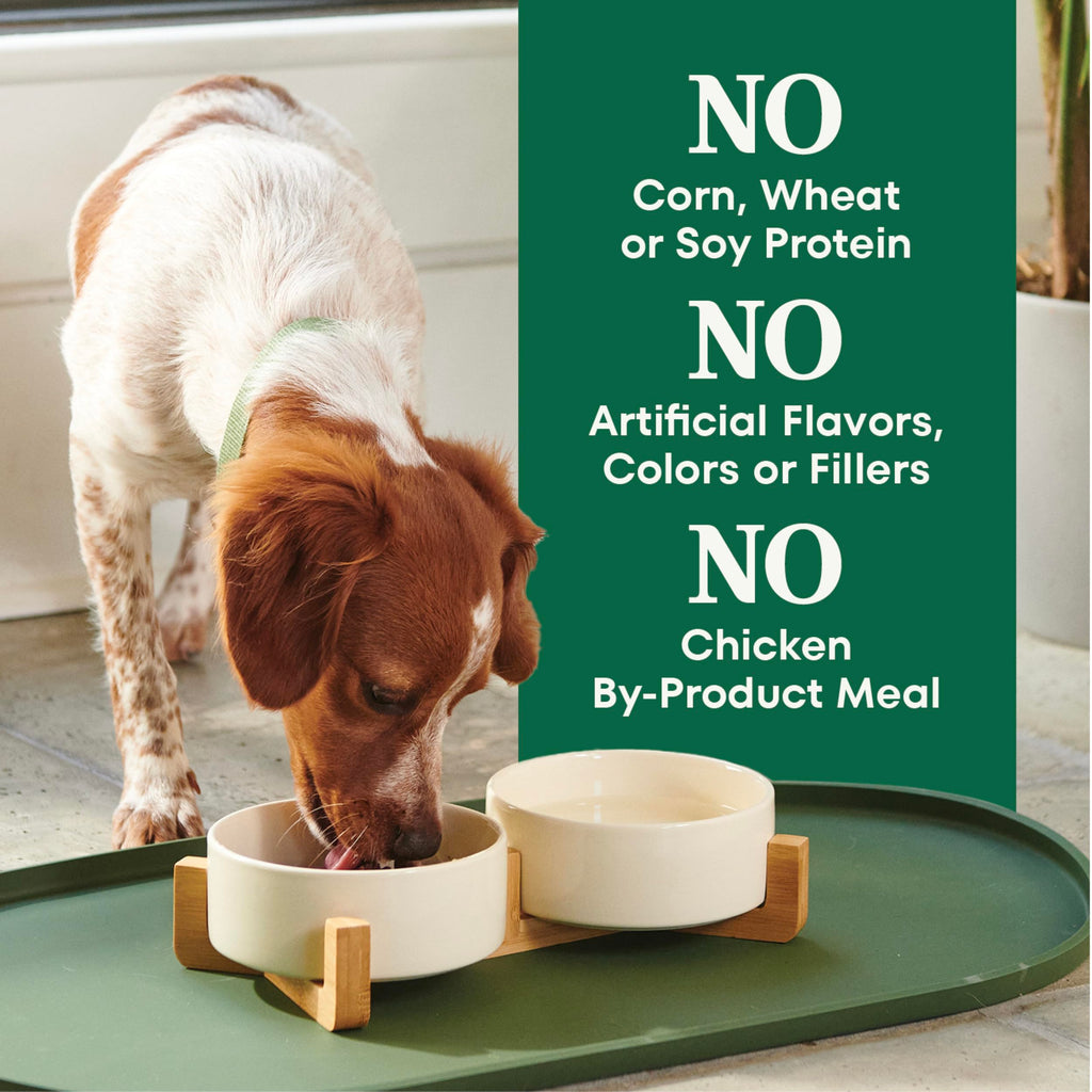 Chicken & Rice Dry Dog Food X9148