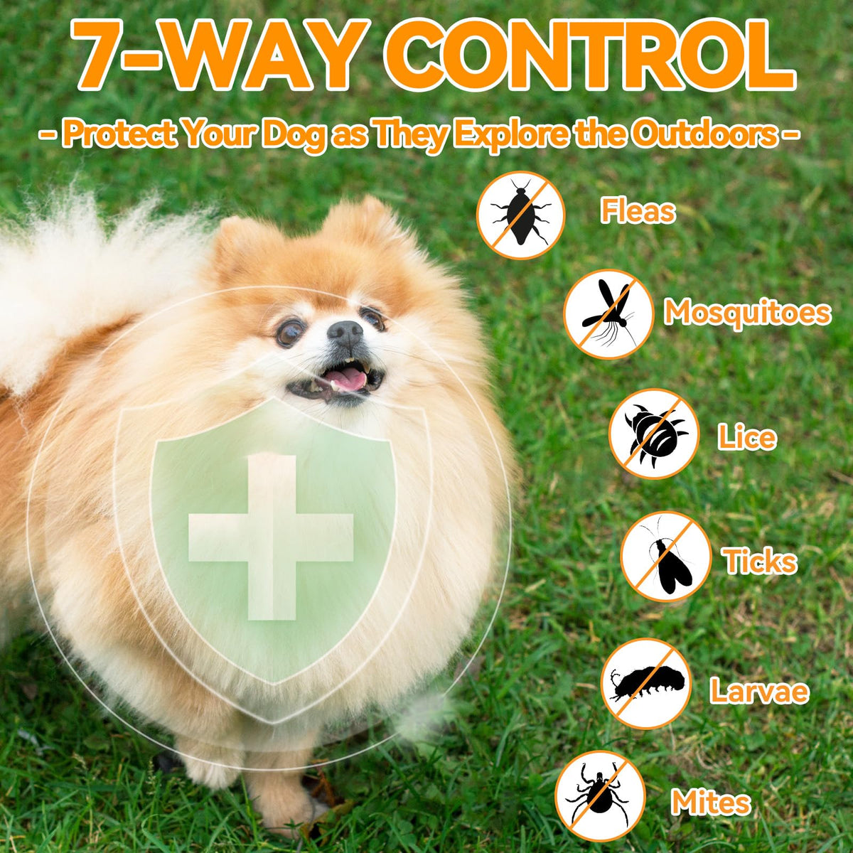 Flea and Tick Prevention for Dogs Chewables 200 Ct D229180