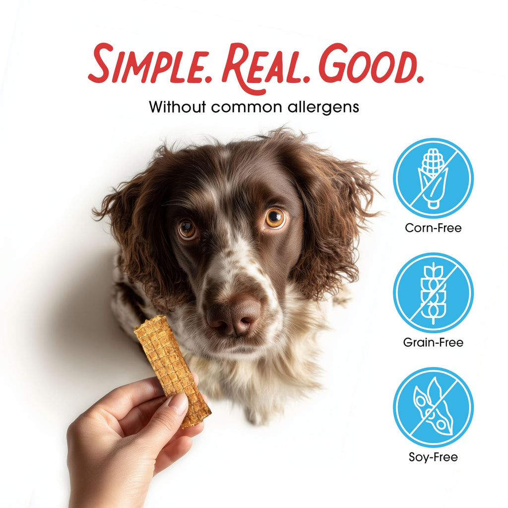 Chicken Jerky Dog Treats 3 lb Bag N236