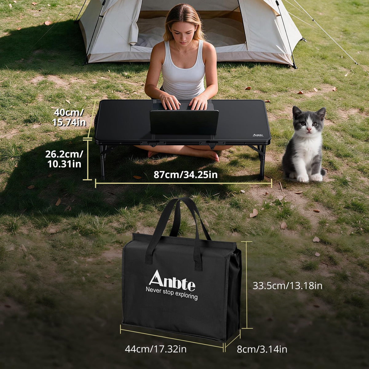 Black Folding Picnic Table M198062