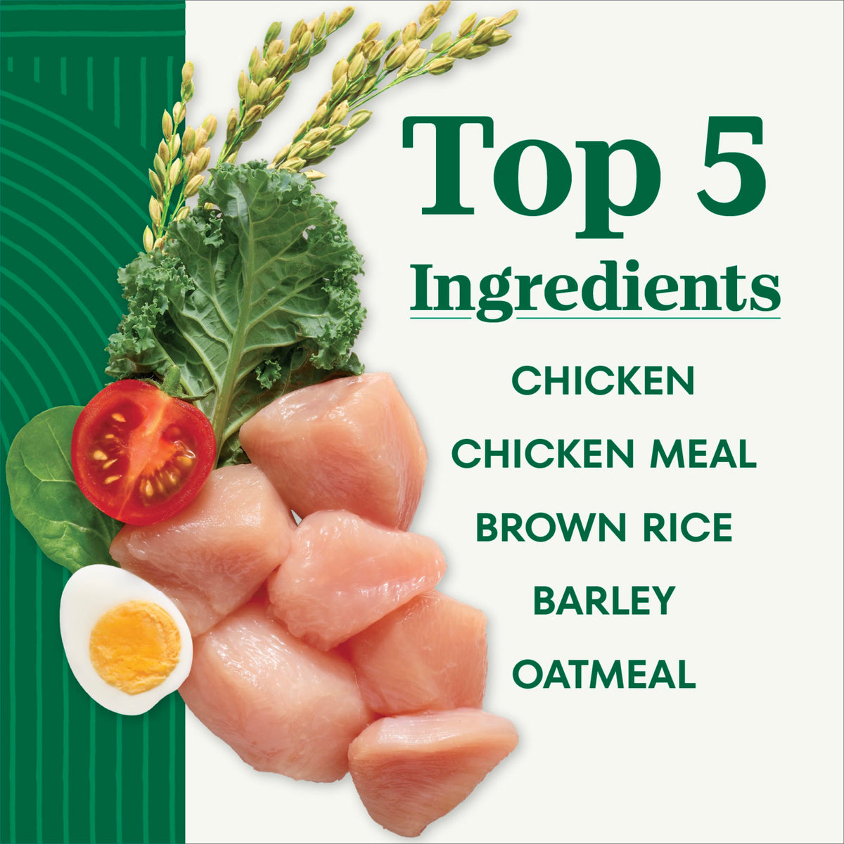 Chicken & Rice Dry Dog Food X9148