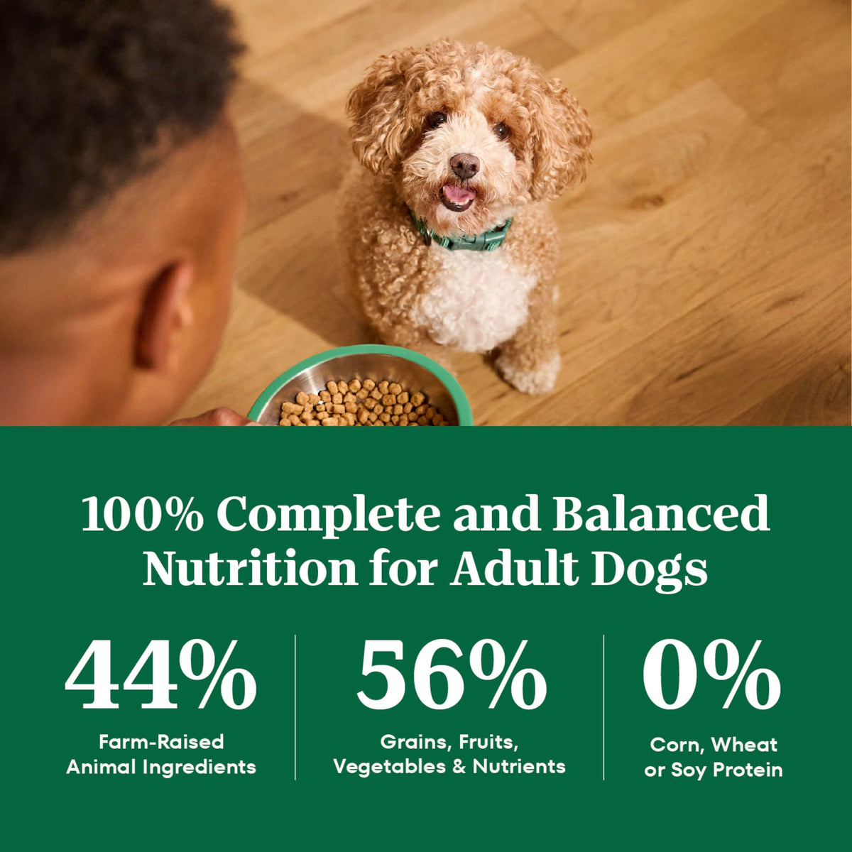 Chicken & Rice Dry Dog Food X9148