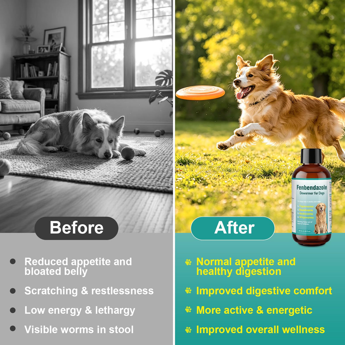 Dog Dewormer Liquid 100ml B852