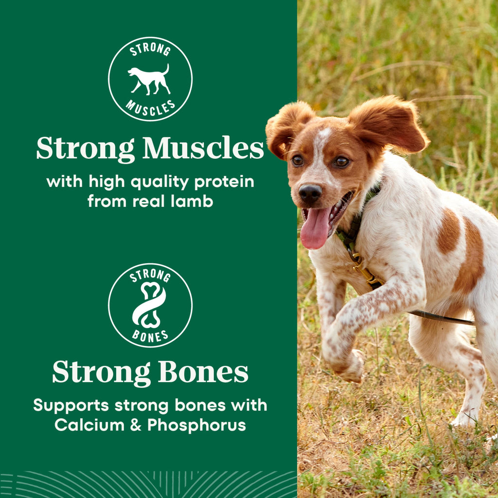 Chicken & Rice Dry Dog Food X9148