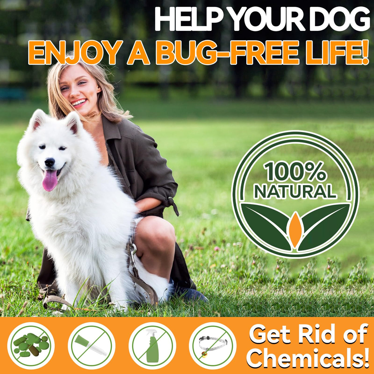 Flea and Tick Prevention for Dogs Chewables 200 Ct D229180