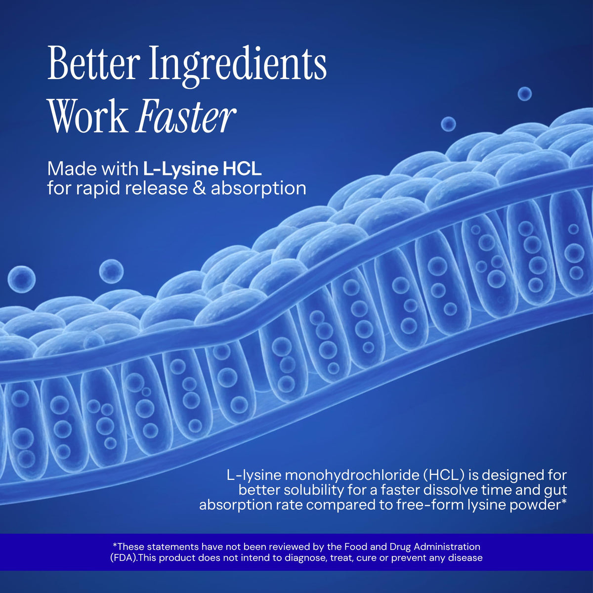 L-Lysine & Propolis with Quercetin, Vitamin C, Vitamin E & Zinc N394724