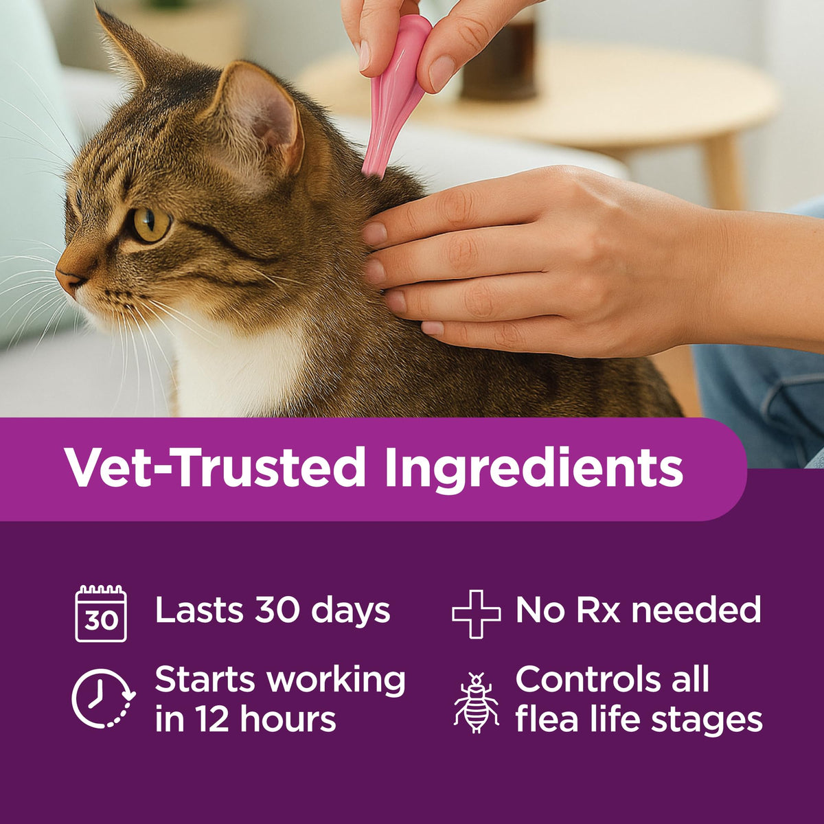 Flea Treatment for Small & Medium Cats 5-9 lbs, 6 Doses U8872