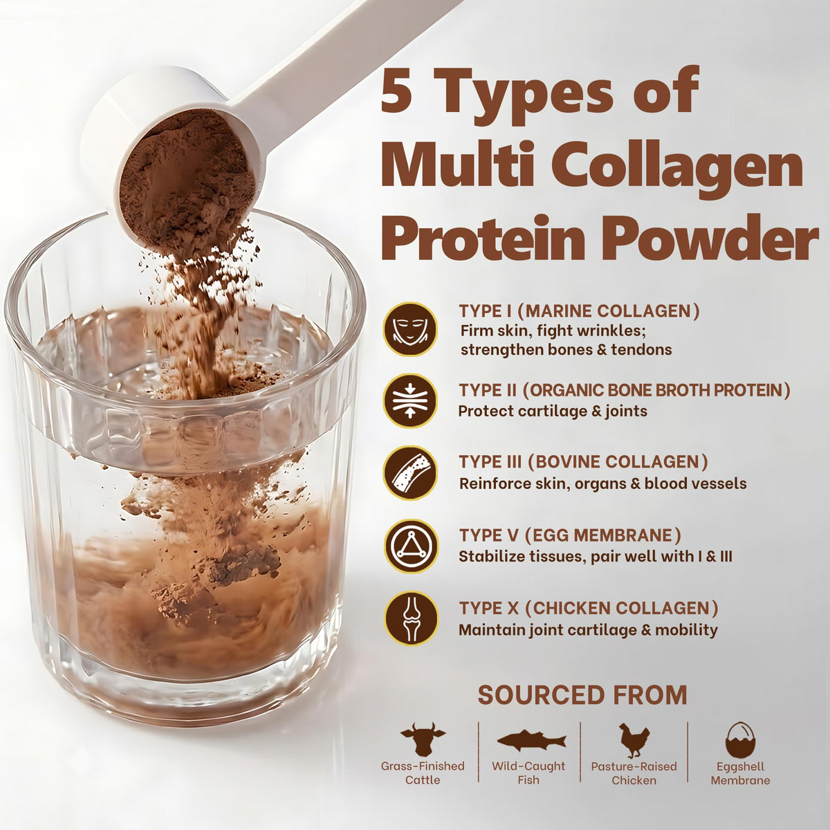Multi Collagen Peptides Protein Powder, Chocolate, 1LB F248
