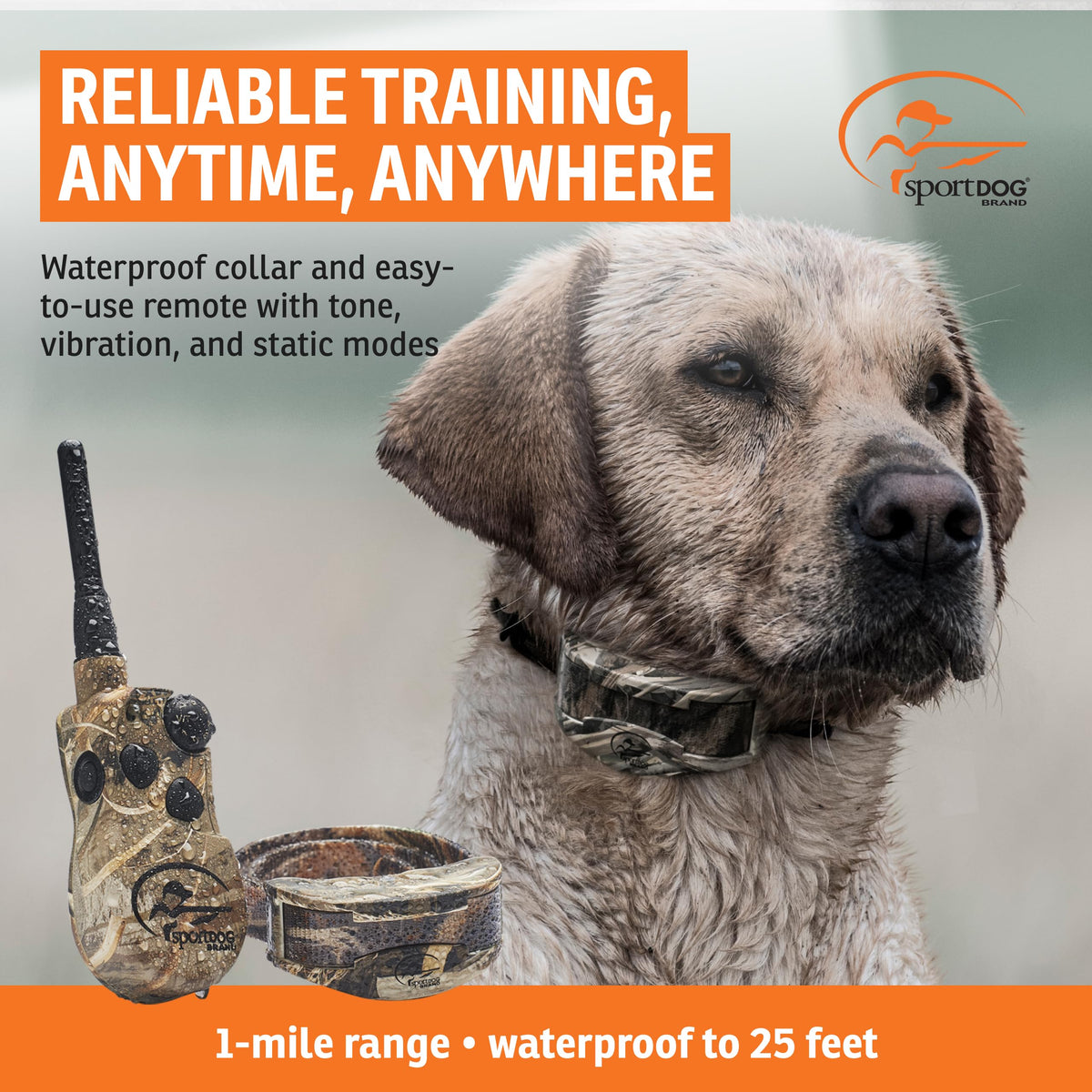 Remote Trainer 1 Mile Range 21 Static Levels L580